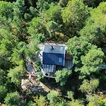 Gluba Treetop Furunåla Harkmark
