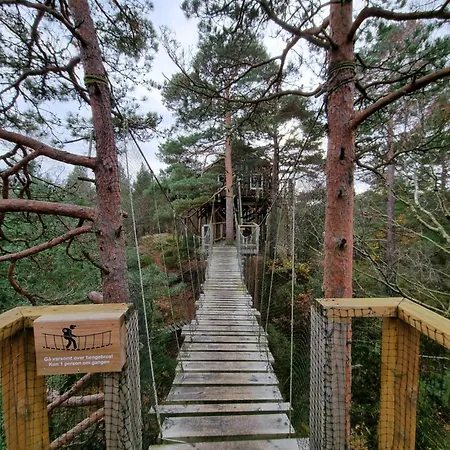 Prázdninový dům Gluba Treetop Furunala Harkmark