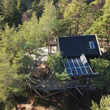 Gluba Treetop Furunala Harkmark