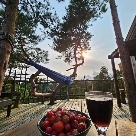 Gluba Treetop Furunala Prázdninový dům