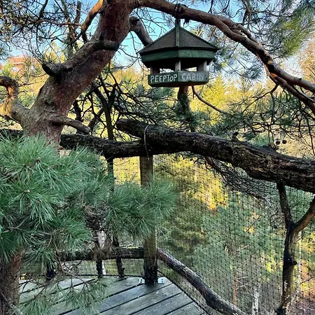 Gluba Treetop Furunala * Harkmark