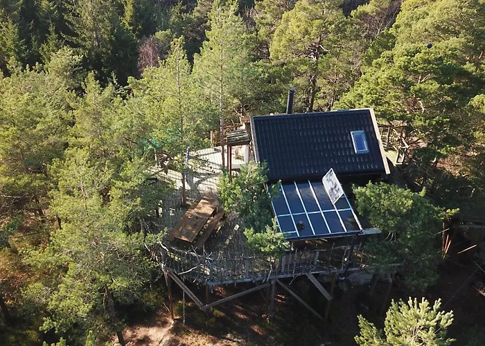 Gluba Treetop Furunala Harkmark