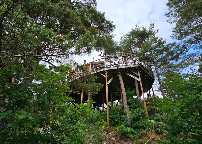 Gluba Treetop Furunala Hébergement de vacances *