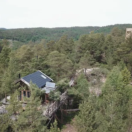 펜션 Gluba Treetop Furunala *
