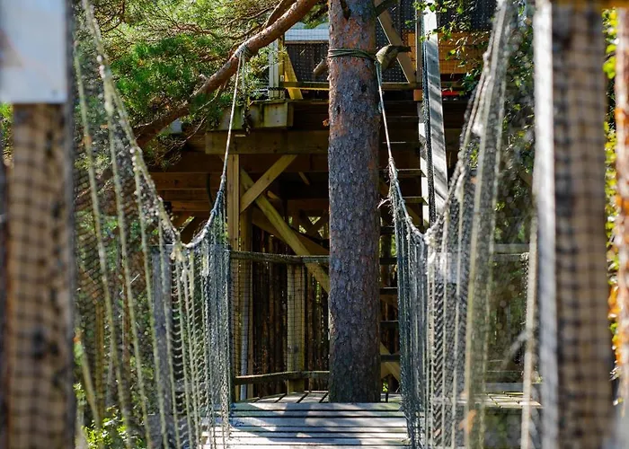 펜션 Gluba Treetop Furunala *