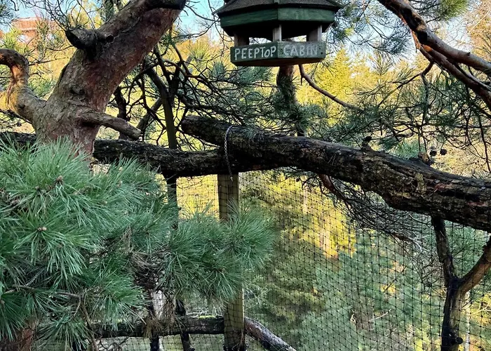Gluba Treetop Furunala * Harkmark
